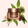 Extra-Firming Night Cream- Dry Skin - Main