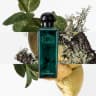 Concentre Eau D Orange Verte Eau De Toilette - 