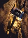 Dior Homme Eau de Toilette - 