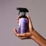 Rice Water Spray - 