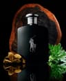 Polo Black Eau De Toilette - 